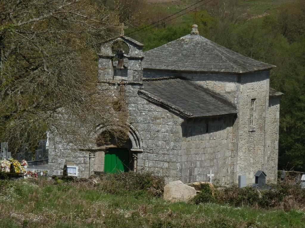 Camino Primitivo a Santiago: Etapas, Distancias, Mapas y presupuesto personalizado - Lux Trip Way